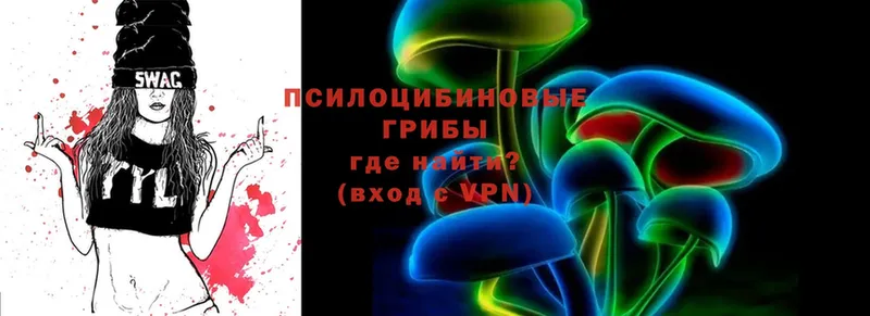 Галлюциногенные грибы Cubensis  закладки  Кирсанов 